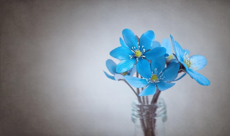 Floral Composition